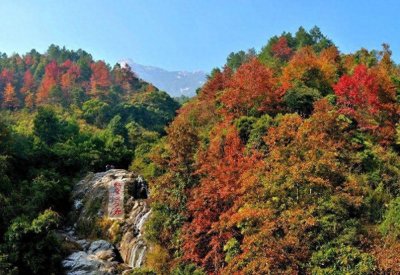 ​广东省也能感受秋天的浪漫，登顶云髻山，寒冬里的一抹红枫！