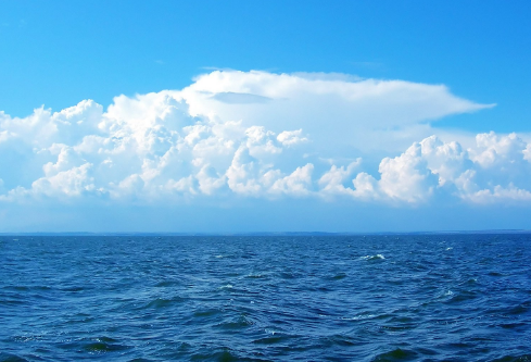 1687247306464097.png image.png