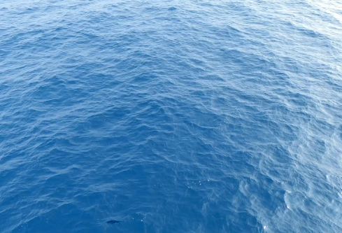 1687245974110169.png image.png