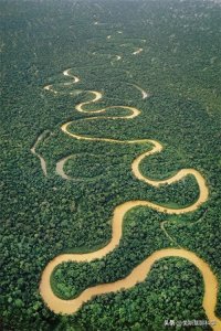 ​世界十大最长河流排行榜，除了长江黄河，还有哪些河流上榜？