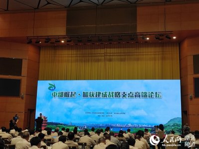 ​“中部崛起·加快建成战略支点”高端论坛在汉举行