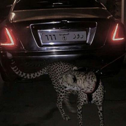 适合早上发的文艺句子