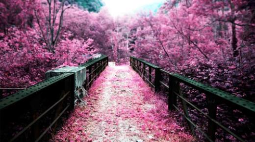 适合早上发的文艺句子