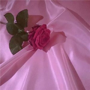 ​适合早上发的文艺句子：把每个睡醒后的早晨当成一件礼物…