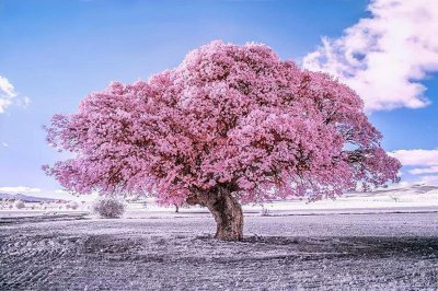 ​淡然随心的人生说说(句句入骨发人深省)