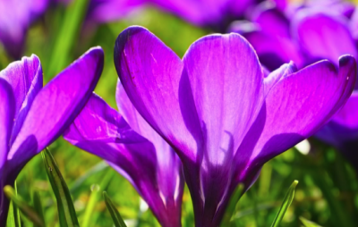 ​一路走好的哀悼句子大全（缅怀长辈去世的话语 沉痛悼念请一路走好）