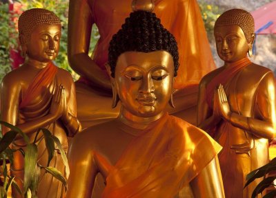 ​佛陀的故事：公元前485年2月15日子夜，进入不灭涅槃境界