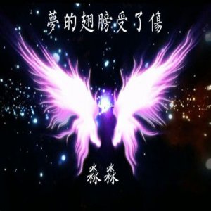 ​有关翅膀的优美语句 关于翅膀的句子