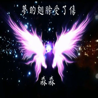 有关翅膀的优美语句 关于翅膀的句子