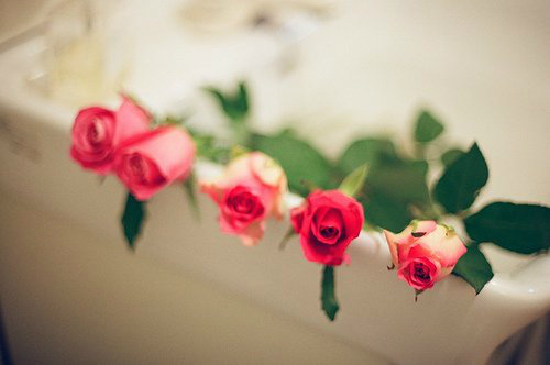 阻止骄傲的谚语50句