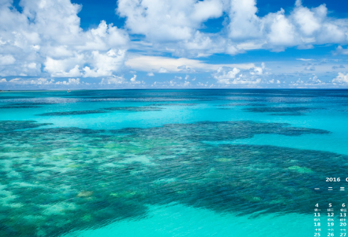 1687325556317187.png image.png