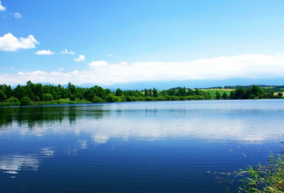 ​生活感悟经典视频(生活感悟经典句子简短正能量)