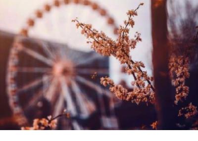 写给女儿的唯美的句子