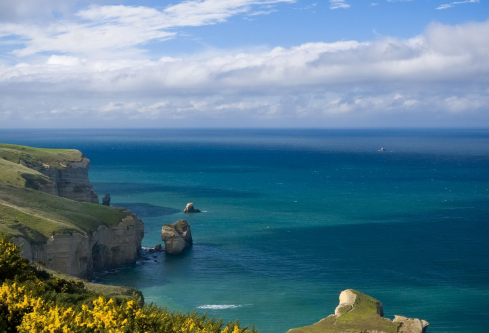 1687290756109317.png image.png