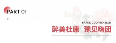 ​嗨团与杜康控股珍藏系列酒战略签约盛典圆满成功！