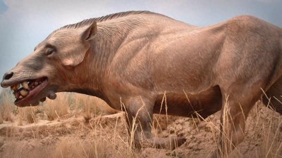 ​猪是毒蛇的天敌，再毒的毒蛇也杀不死一头猪，有什么科学依据吗？