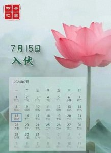 ​三伏天的“伏”究竟是什么意思