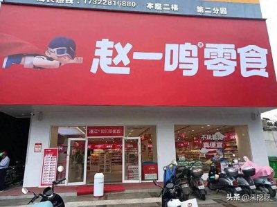 ​低调神秘的“赵一鸣零食”创始人:赵定