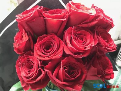 ​买不买？成都玫瑰七夕“涨”声一片，“自由女神”每支售价上百元