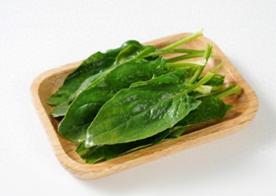 ​蔬菜之王—菠菜