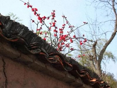 ​＂研究显示：容易红杏出墙的女人具备这3个特点，男人快避开！＂