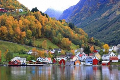 ​【移民骗局系列】清醒一点！芬兰根本拿不到永居！