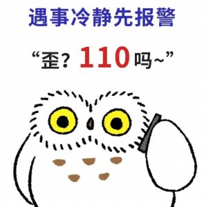 ​花钱就能恢复吊销驾照？假的！宁城公安再破诈骗案