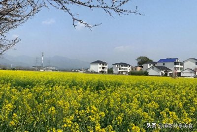 ​农历二月初一，老话讲“初一吃6样，福气跑进家”，6样都有啥？