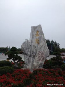 ​嘉荫，一座魅力小城，远离喧嚣，环境幽雅，生态风貌原始自然