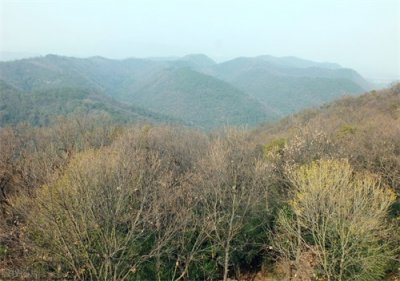 ​国家为什么要大力发展湖北省当阳市？