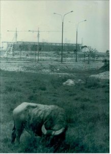 ​天河体育中心建成37年 见证广州体育发展