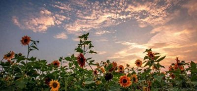 ​每一天的美好：12句温暖的朋友圈说说