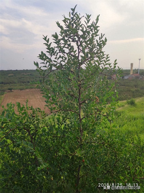 陕西西安白鹿原白鹿仓景区
