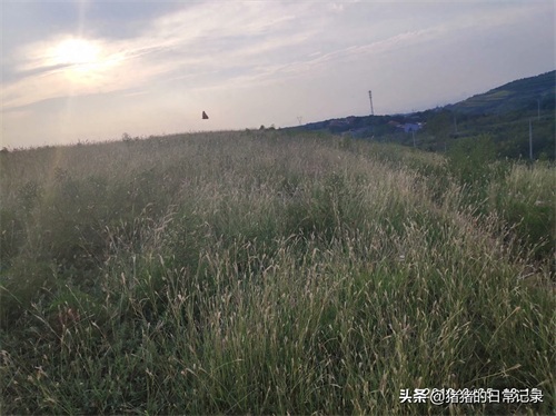 陕西西安白鹿原白鹿仓景区