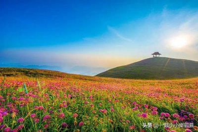​天上花海·人间仙境——大韭菜坪