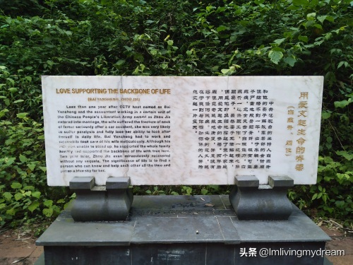 重庆江津（爱情天梯）没来过的盆友可以来玩哦