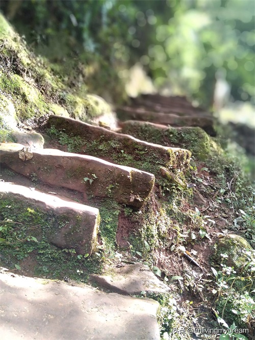重庆江津（爱情天梯）没来过的盆友可以来玩哦