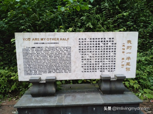 重庆江津（爱情天梯）没来过的盆友可以来玩哦