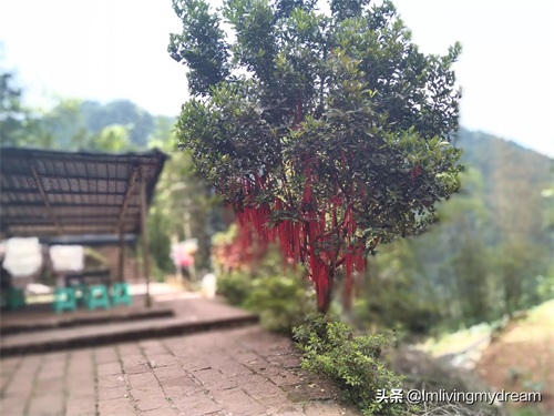 重庆江津（爱情天梯）没来过的盆友可以来玩哦