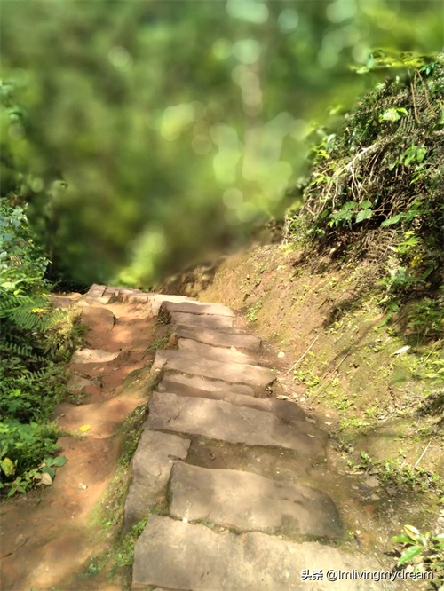 重庆江津（爱情天梯）没来过的盆友可以来玩哦