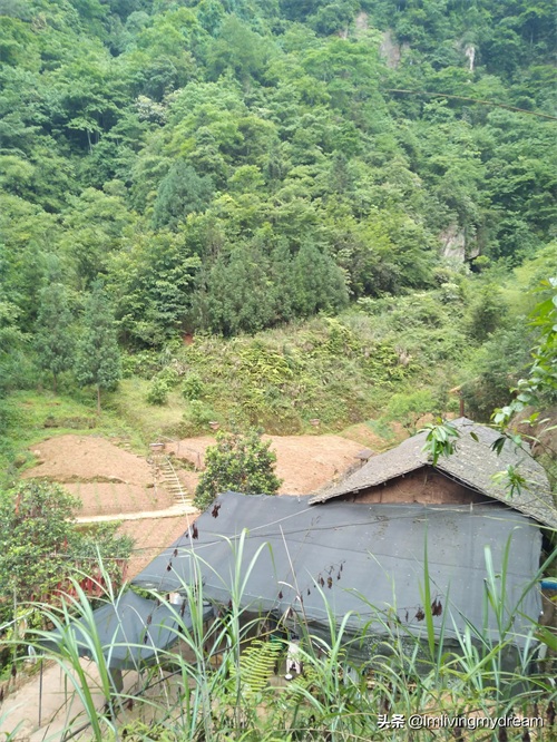 重庆江津（爱情天梯）没来过的盆友可以来玩哦