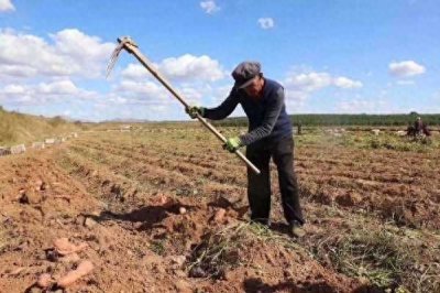 ​2024年驾照考试“包过”指南！