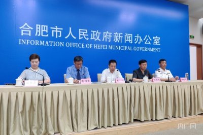 ​合肥市常态化扫黑除恶斗争取得新成效