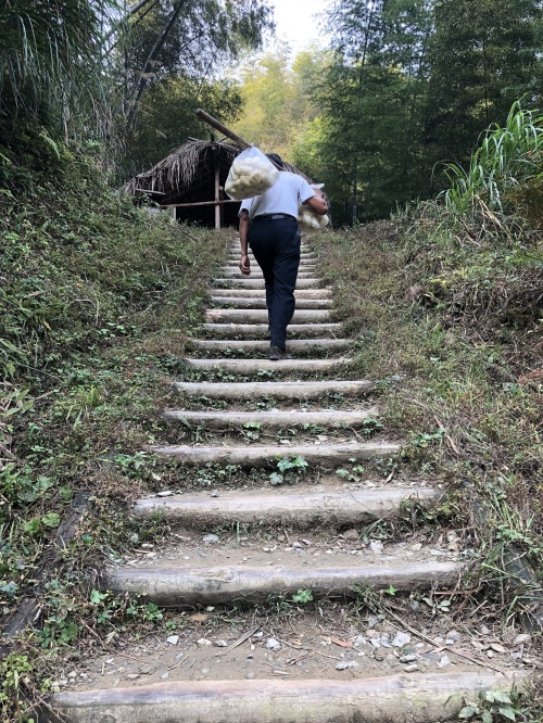 “云端上的村落”—木梨硔村旅游食宿为何如此昂贵？