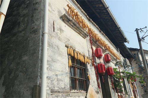 “云端上的村落”—木梨硔村旅游食宿为何如此昂贵？