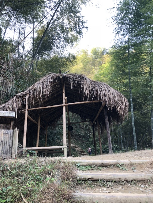 “云端上的村落”—木梨硔村旅游食宿为何如此昂贵？