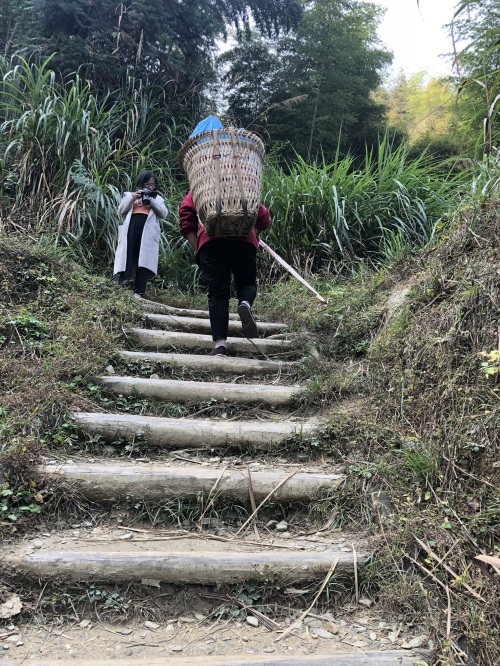 “云端上的村落”—木梨硔村旅游食宿为何如此昂贵？