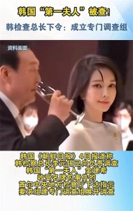 ​韩国总统夫人事件调查：各方反应与进展