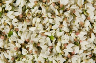 ​槐花吃法大全