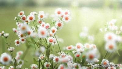 ​强推，《半生熟》又名《若你爱我如初》